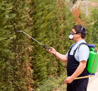 Hombre fumigando 